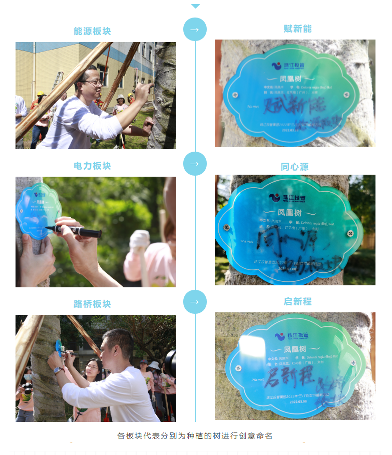 各项目代表命名.png 各项目代表命名.png